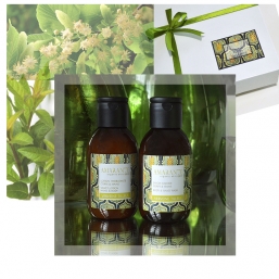 COFFRET VERVEINE TILLEUL